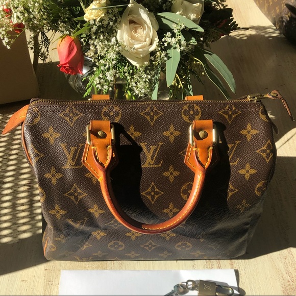 Louis Vuitton Speedy 25 - Picture 1 of 16